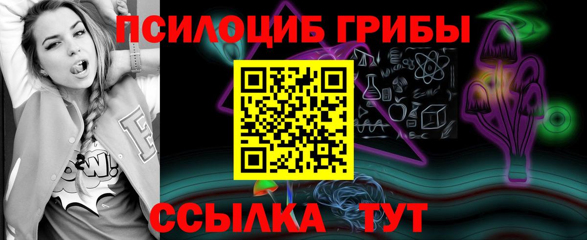 купить наркотик  Вход с VPN  Кубинка  Псилоцибиновые грибы MAGIC MUSHROOMS 