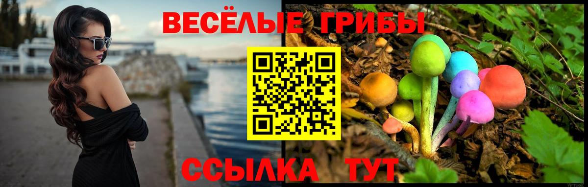 Псилоцибиновые грибы GOLDEN TEACHER Кубинка